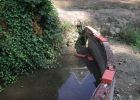 Teich 2